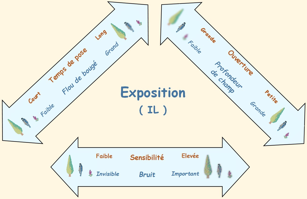 Le triangle d’exposition – Photos Alain